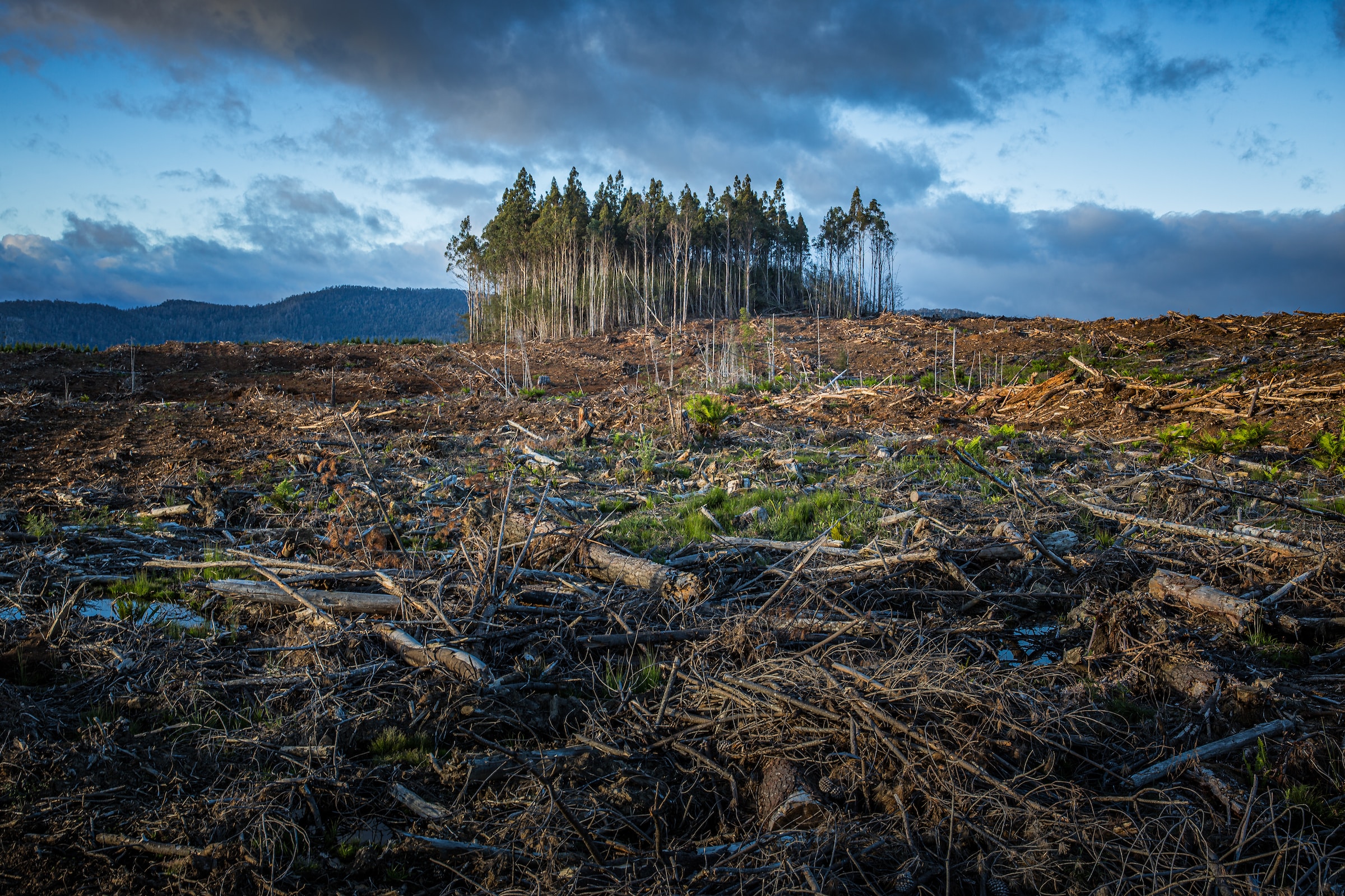 Climate change is a problem for many countries