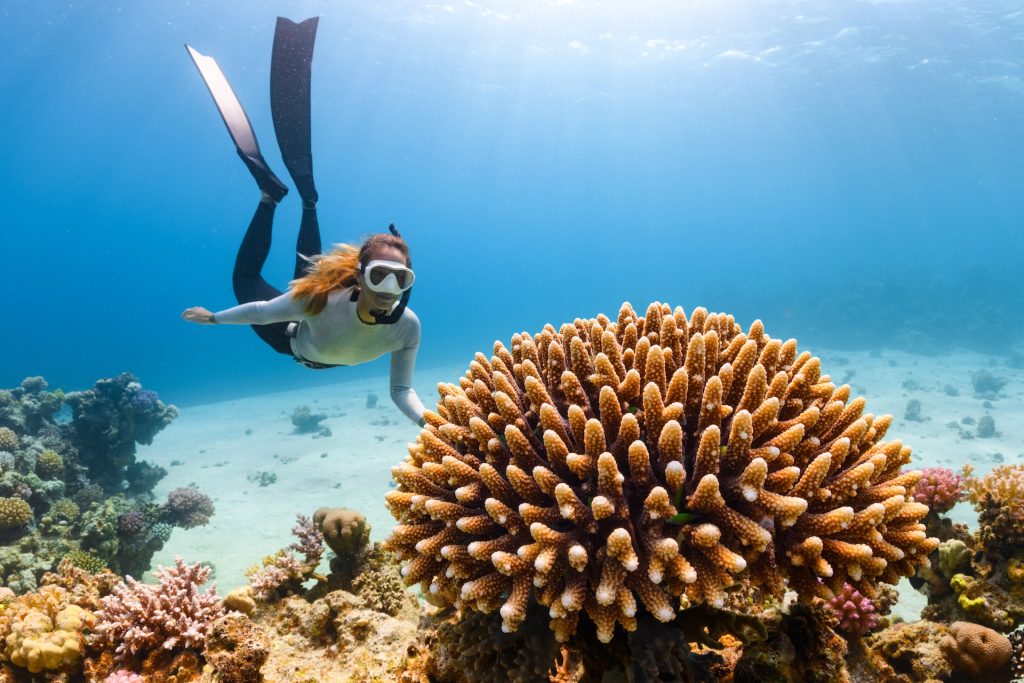 Deep-Sea Coral Crisis: Bleaching Discovered 90 Metres Below Indian Ocean Surface